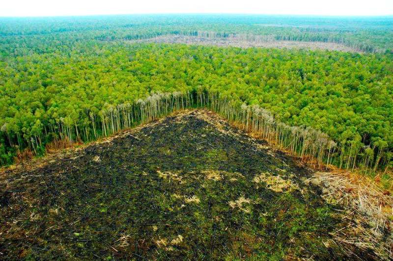 arung-amazon-cua-brazil-mat-dien-tich-lon-hon-new-york-trong-thang-5