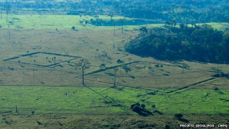 brazil-ra-mat-du-an-bao-ve-rung-amazon-bang-cong-nghe-drones
